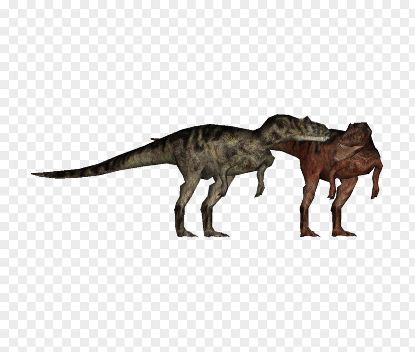 Suchomimus Zt2 Download Allosaurus Tyrannosaurus Rex Metriacanthosaurus Library Velociraptor PNG