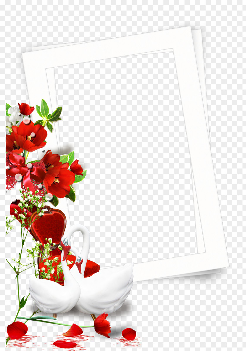 Swan Photo Frame Cygnini Red Floral Design PNG