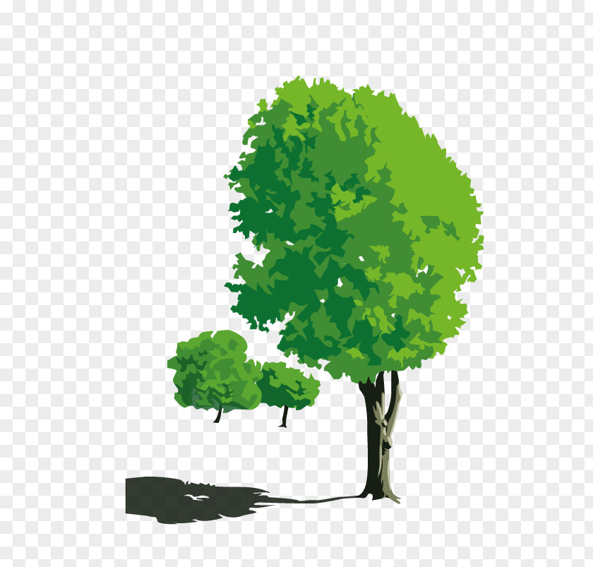 Trees Photography Nature Cartoon PNG