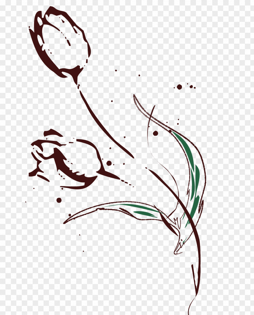 Tulip Flower Illustration PNG