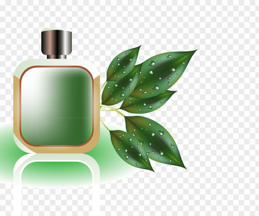 Vector Perfume Bottles Eau De Cologne PNG
