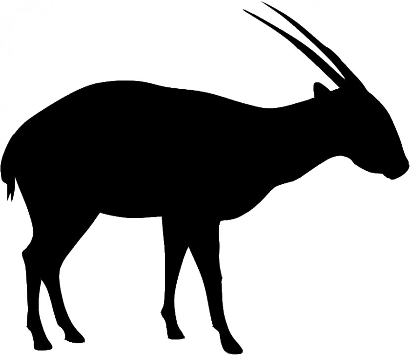 Antelope Saola Annamite Range Gemsbok Bovid PNG