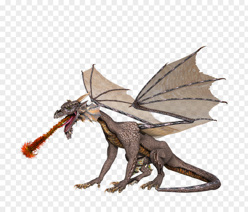 Dragon Image Clip Art PNG