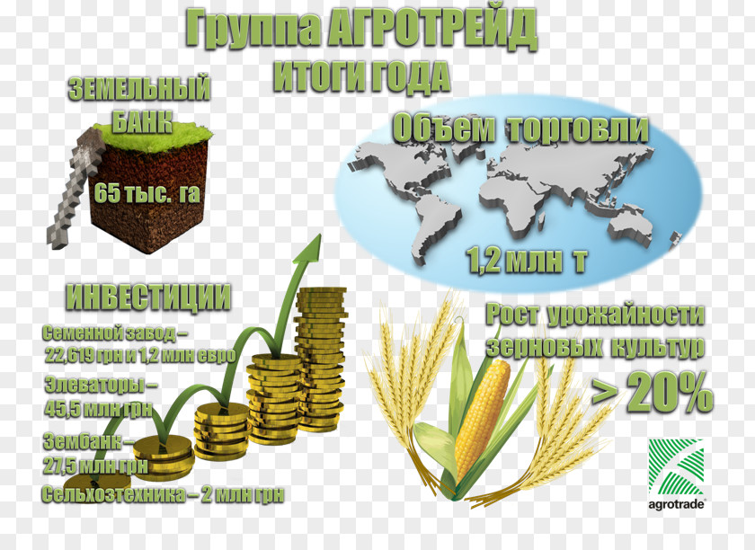 Infografía E.T.F. Exchange Traded Funds. Quaderni Di Finanza Exchange-traded Fund Product Income Approach Grasses PNG