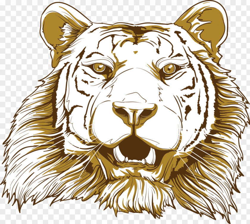 Vector Cartoon Tiger Big Cat Illustration PNG