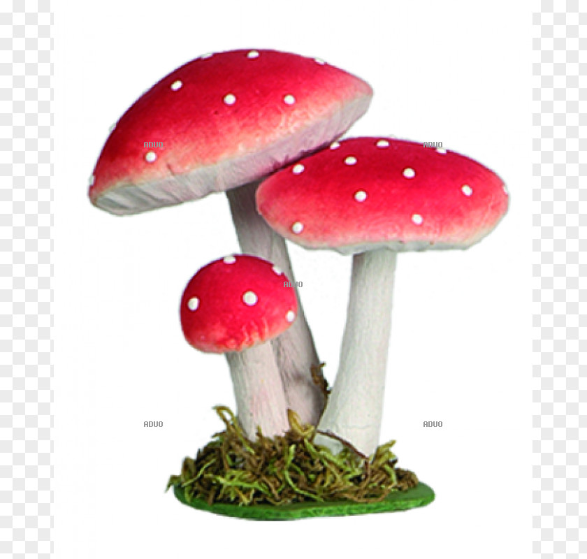 Mushroom Amanita Muscaria Fungus Agaric Yellow PNG