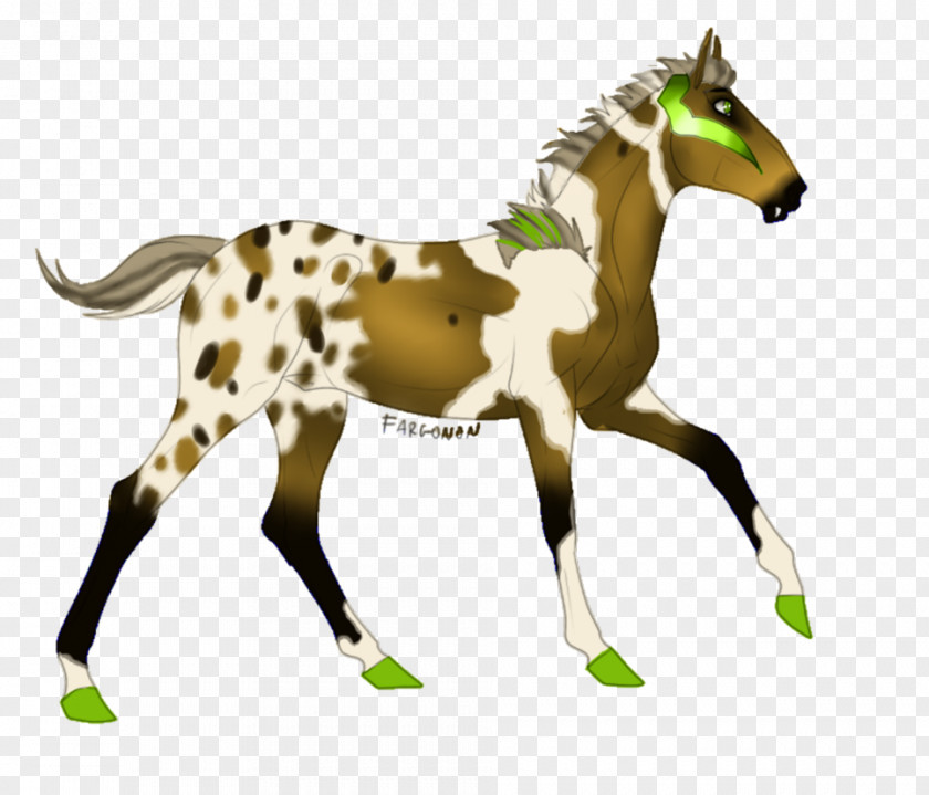 Mustang Foal Stallion Mare Colt PNG