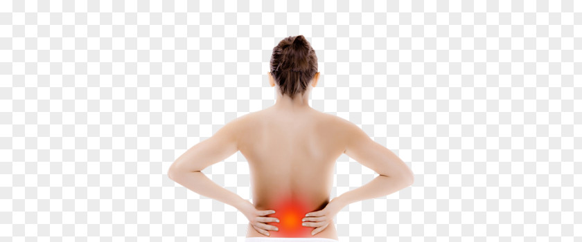 Nape Shoulder Back Pain Human Lumbar PNG