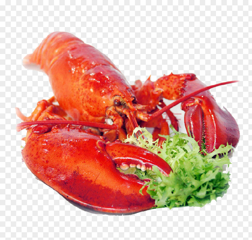 Seafood Chinese Cuisine American Lobster Palinurus Elephas PNG cuisine lobster elephas, clip leaves material clipart PNG