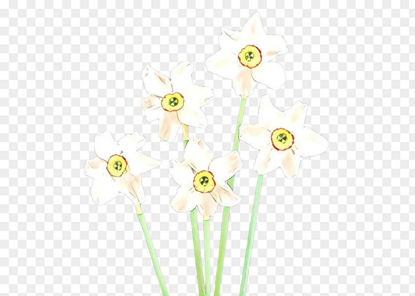 Wildflower Narcissus Yellow Flower Plant Cut Flowers PNG