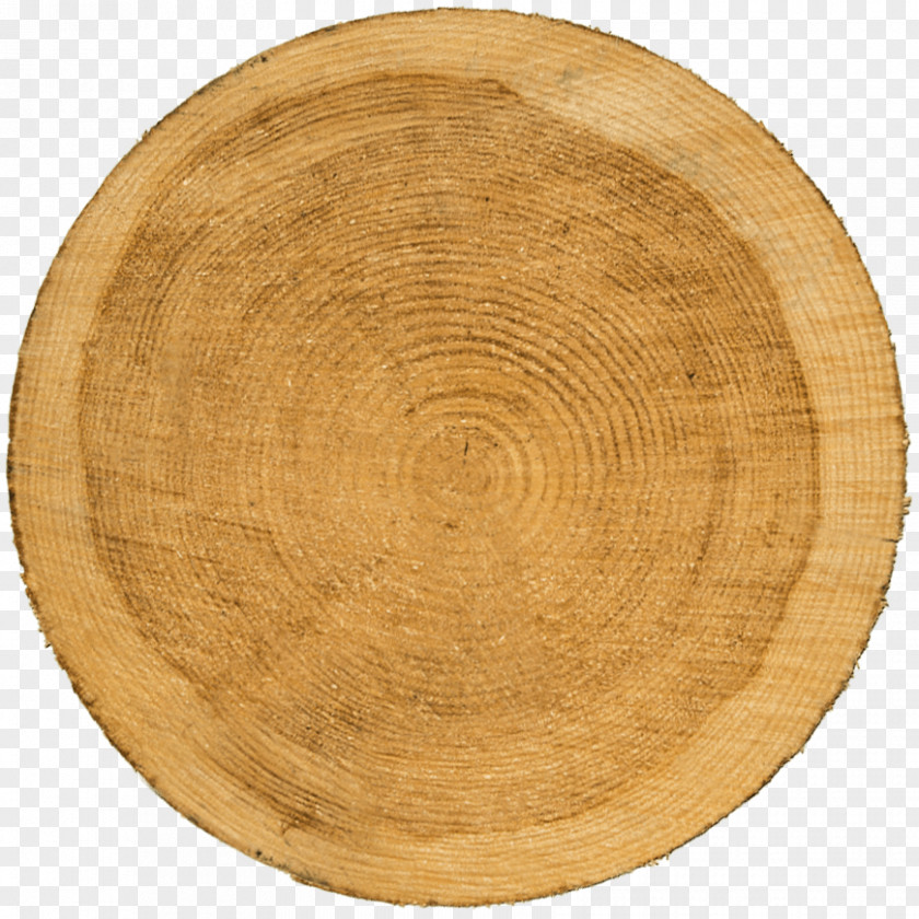 Wooden Wheel Barbecue Pizza Stones Baking Stone Paper PNG