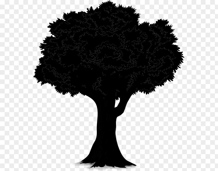 Clip Art Tree Openclipart Branch PNG
