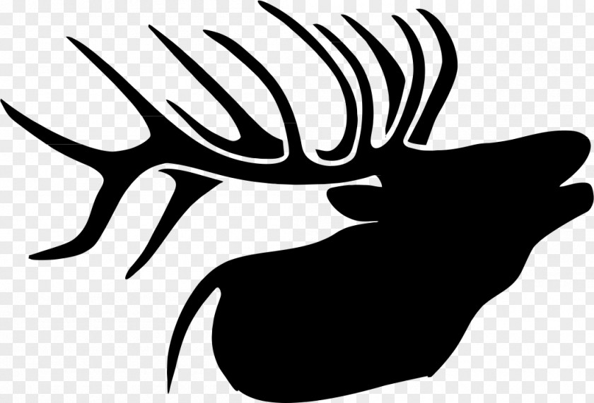 Deer Elk Drawing Clip Art PNG