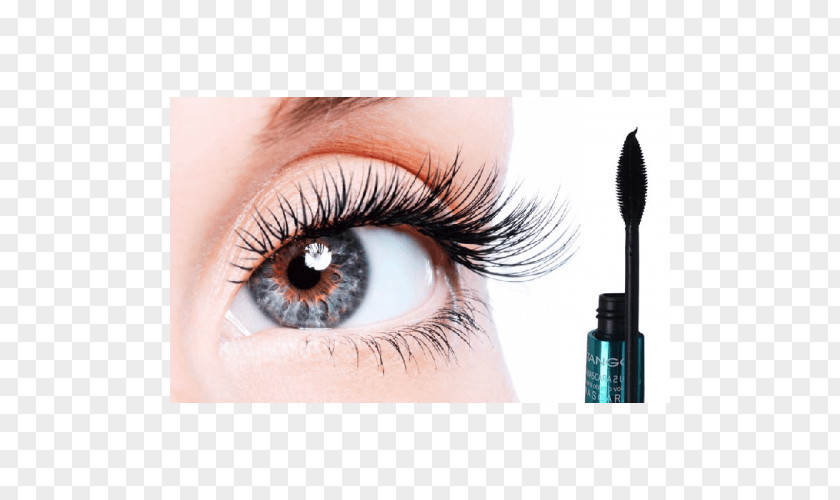 Eyelashes Eyelash Extensions Artificial Hair Integrations Beauty Parlour Permanents & Straighteners PNG