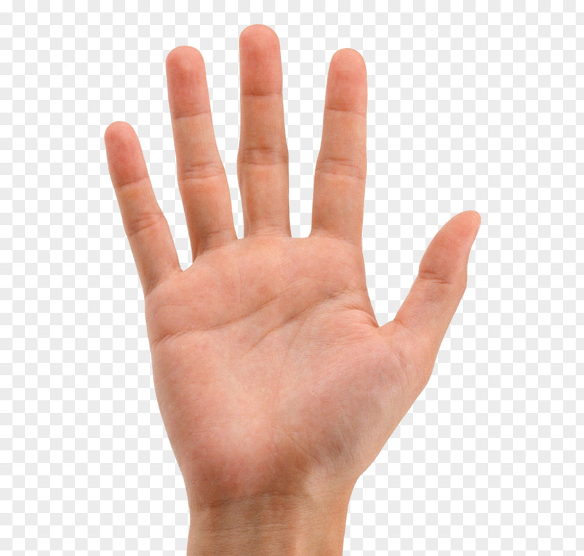 Hand Clip Art Index Finger Image PNG