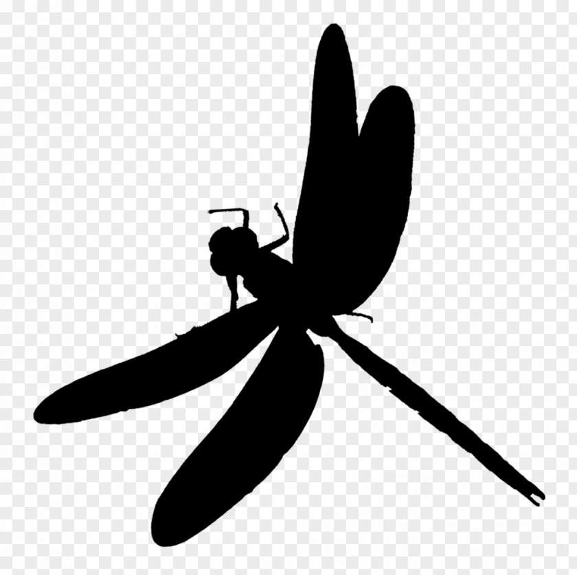 Insect Clip Art Silhouette Pollinator Dragonfly PNG