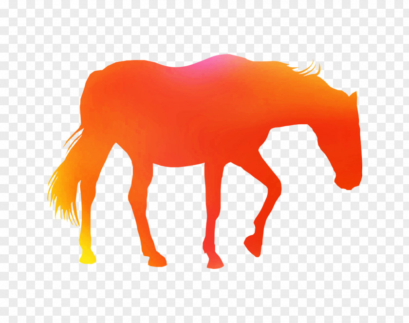 Mustang American Paint Horse Equine-assisted Therapy Stallion PNG