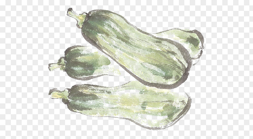 A Pile Of Small Melon Vegetable Shoe PNG