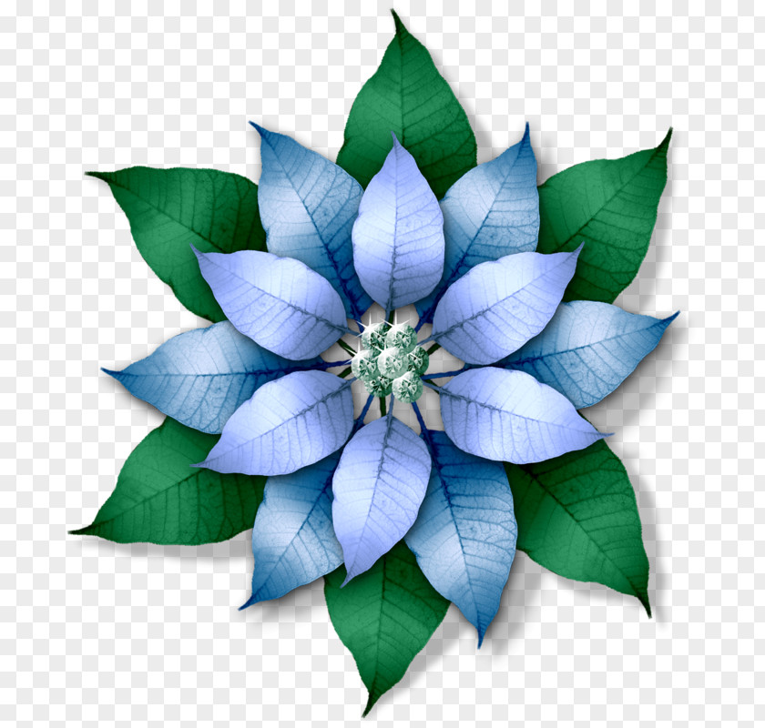 Flower Drawing Blue Color PNG