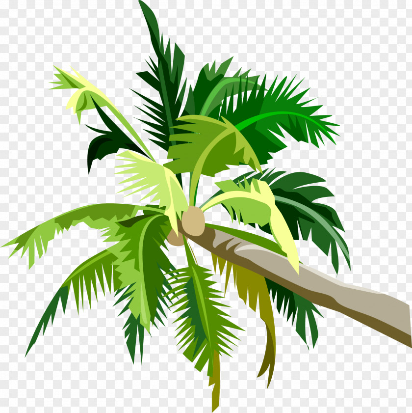 Palm Trees Clip Art Desktop Wallpaper Image PNG