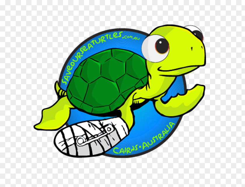 Decals Great Barrier Reef Cairns Sea Turtle Conservancy Reptile PNG