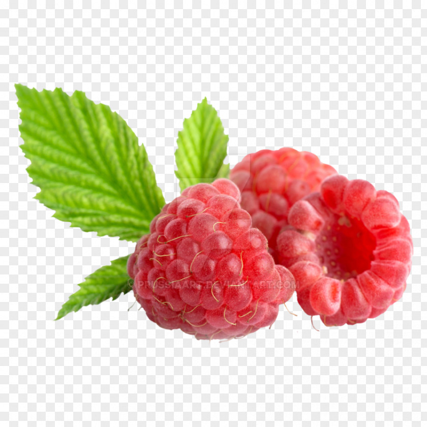 Raspberry Boysenberry Tayberry Loganberry Fototapeta PNG