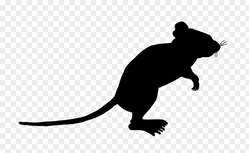 Rhyme Rat Computer Mouse Silhouette Clip Art PNG