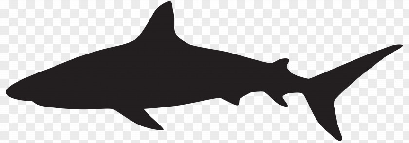 Sharks Great White Shark Silhouette Clip Art PNG