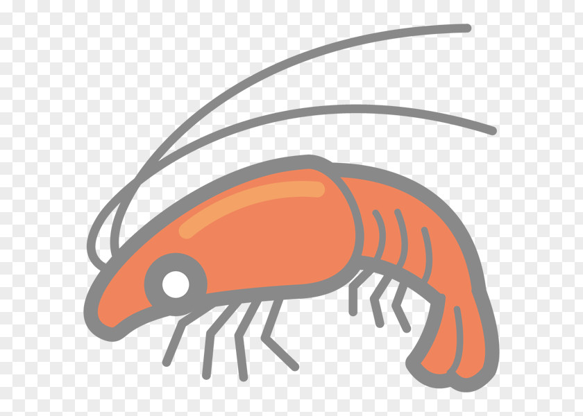 Allergy Shrimp Nikuman Seafood Crab Clip Art PNG