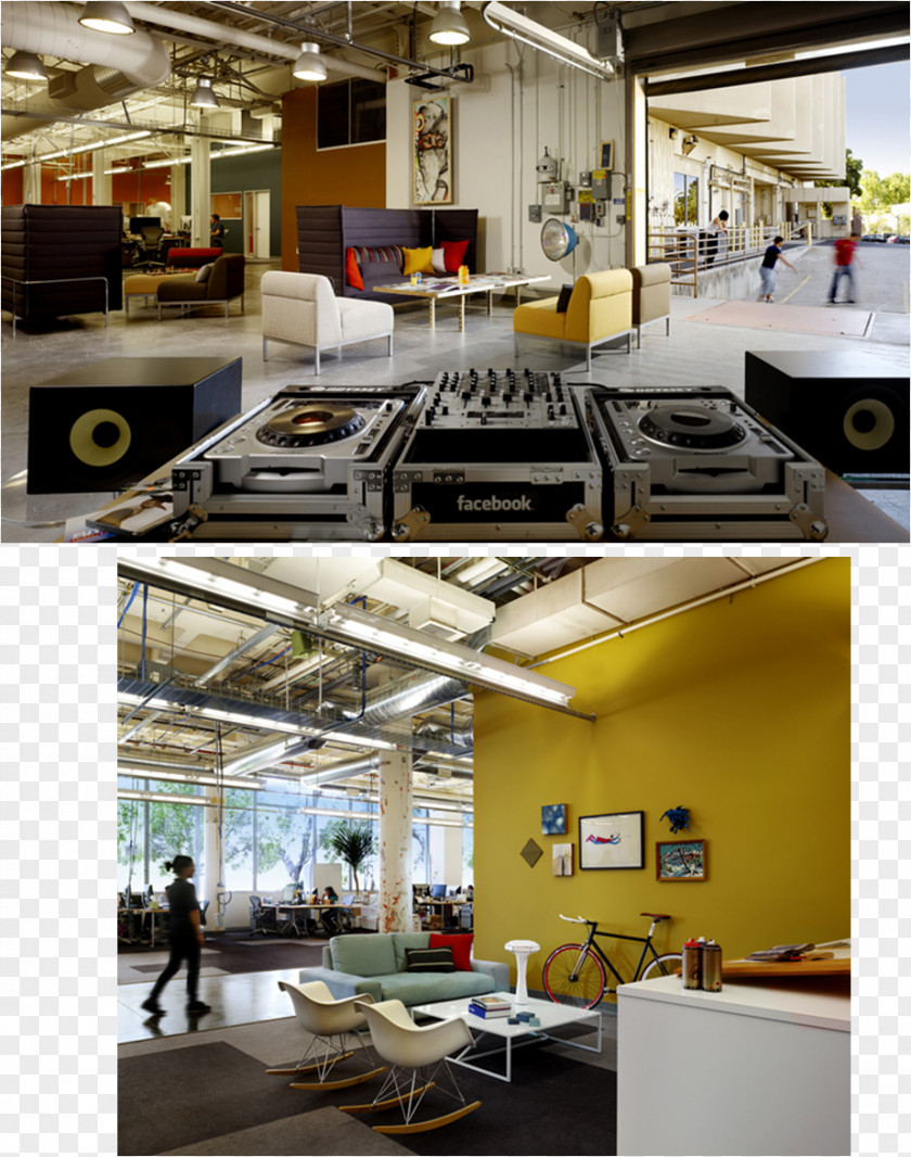 Asparagus Fern Studio O+A Office Interior Design Services Creativity PNG