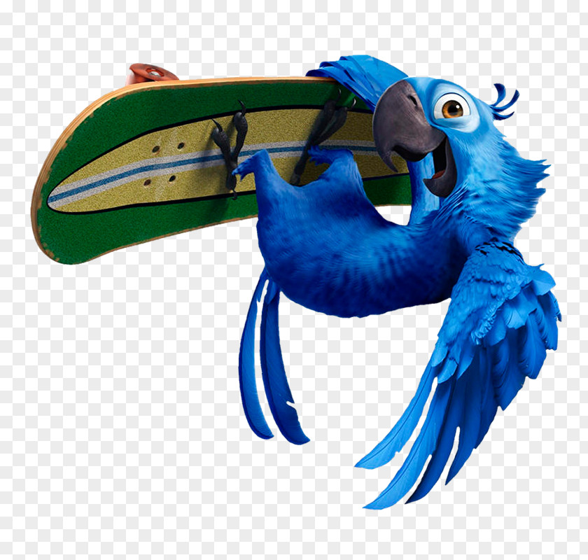 BLUE Macaw Blu Nigel Linda Bia Rio PNG