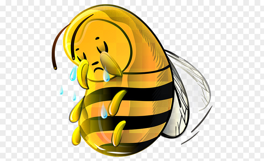 Cartoon Bee Apidae ICO Download Icon PNG