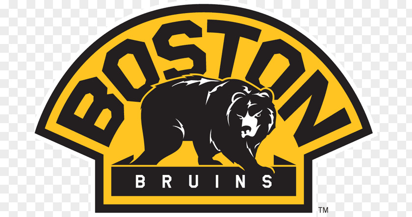 Hockey Stick Logo Bear Boston Bruins Ice New York Rangers Decal PNG
