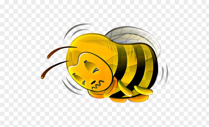 Bee Euclidean Vector Icon PNG