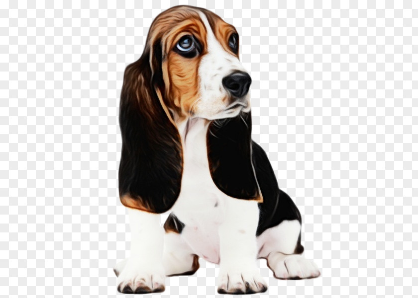 Coonhound Scent Hound Dog And Cat PNG