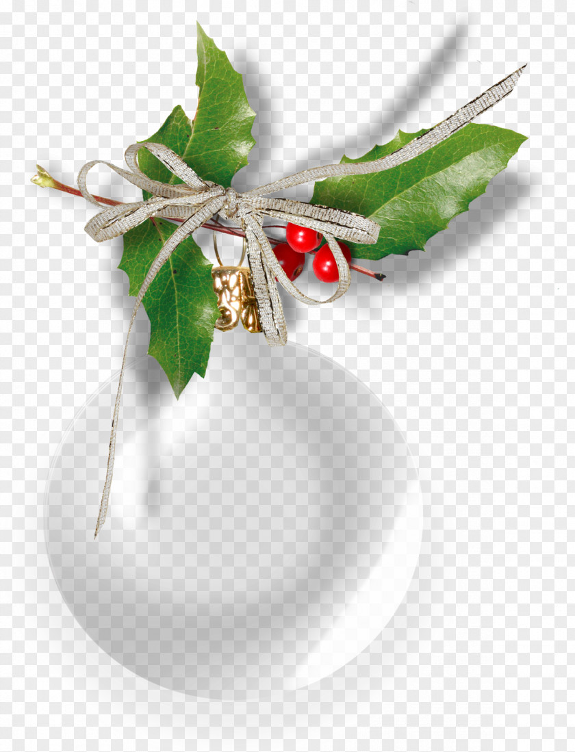 Holly Background Clip Art Image Christmas Day Blog PNG