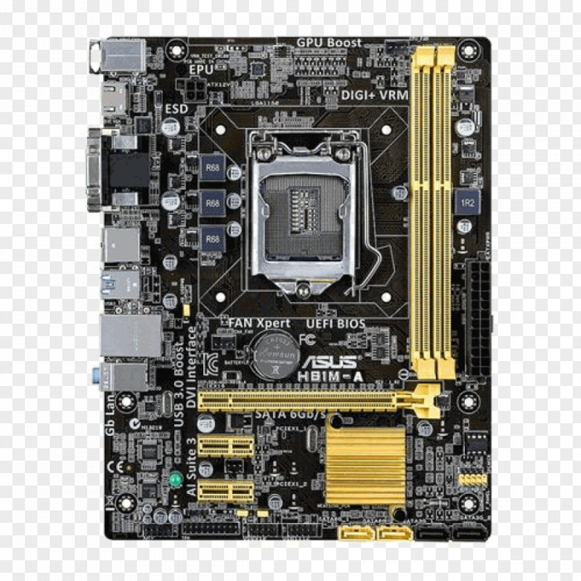 Intel LGA 1150 Motherboard ASUS MicroATX PNG