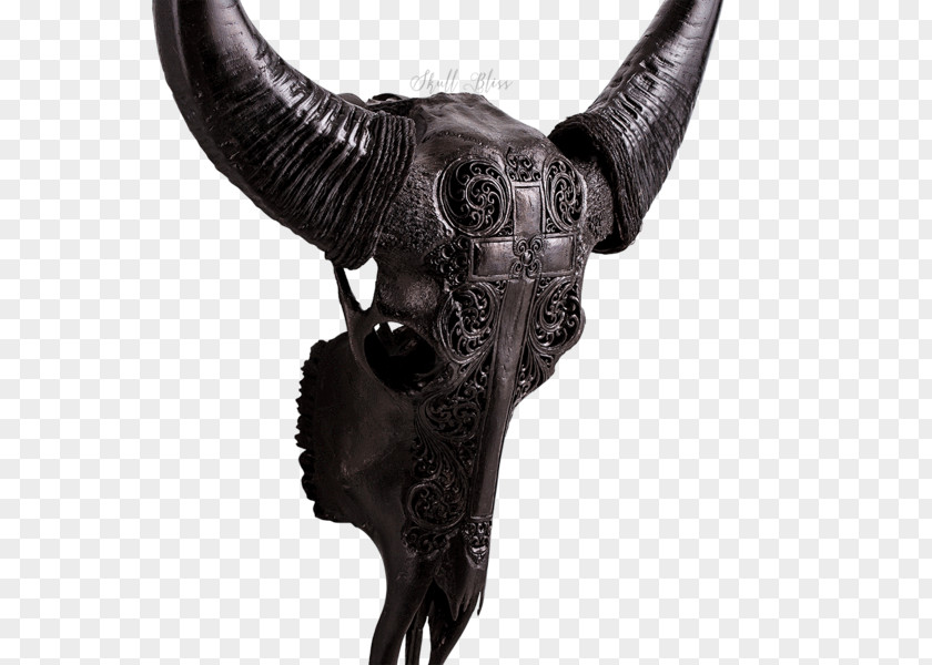 Skull Horn Water Buffalo Cow's Skull: Red, White, And Blue Taurine Cattle PNG