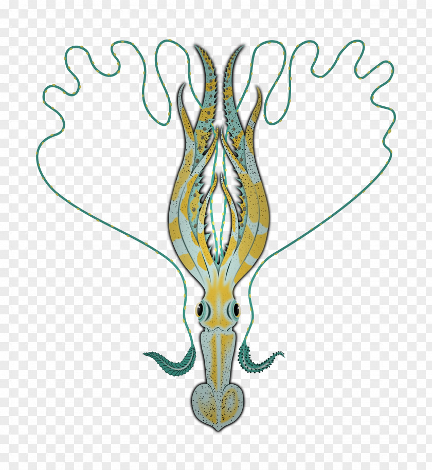 Squid Cuttlefish Sepia Animal PNG