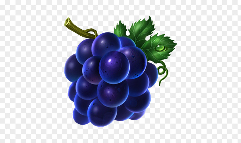 Bunch Of Fresh Grapes Grape Icon PNG