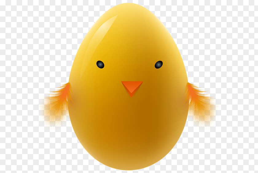 Chicken Egg Easter Kifaranga PNG
