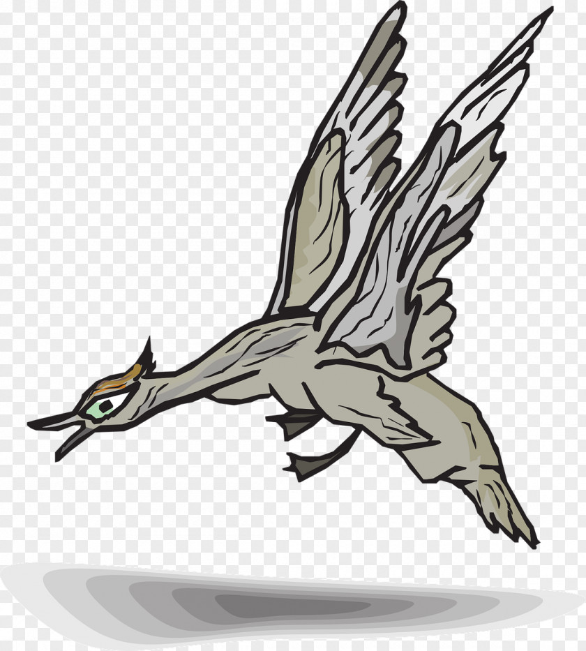 Flying Duck Clip Art PNG