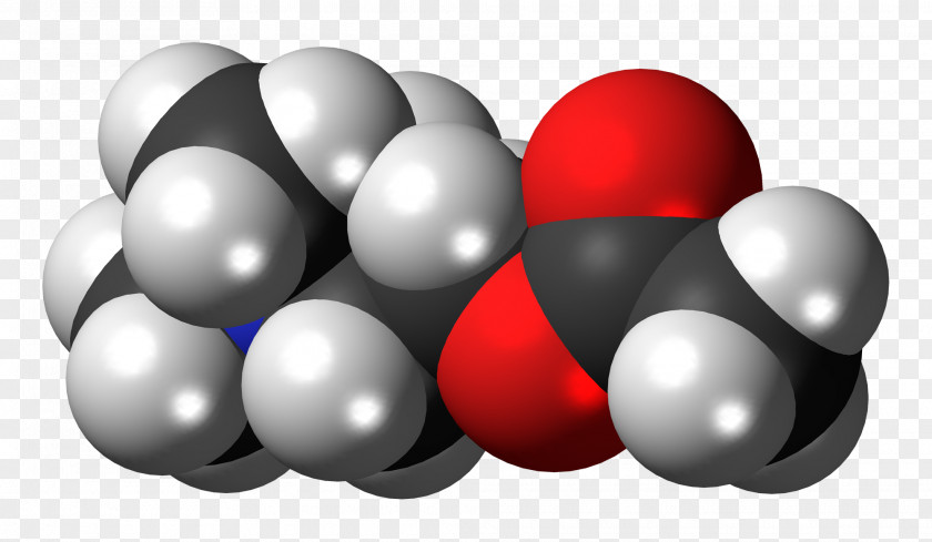 Inclusion Compound Acetylcholine Neurotransmitter Cation Chemistry PNG