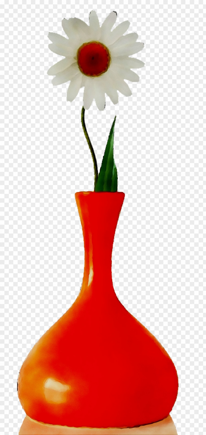 Transvaal Daisy Vase Product Design PNG