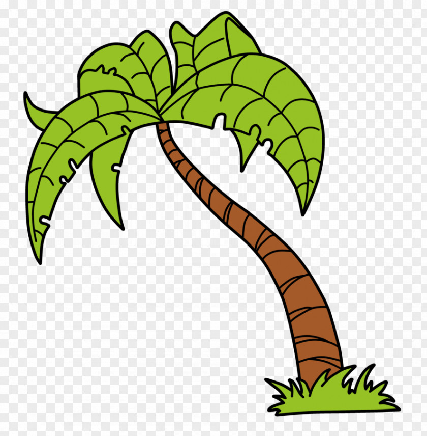 Green Vector Arecaceae Tree Clip Art PNG