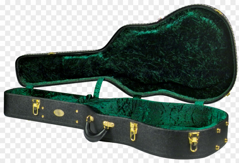 Guitar Case Steel-string Acoustic Dreadnought Parlor PNG