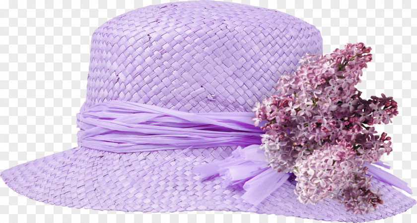 Hat Straw Sombrero Purple Headgear PNG