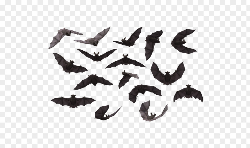Large Group Of Bats Flying Bat Free Content Clip Art PNG