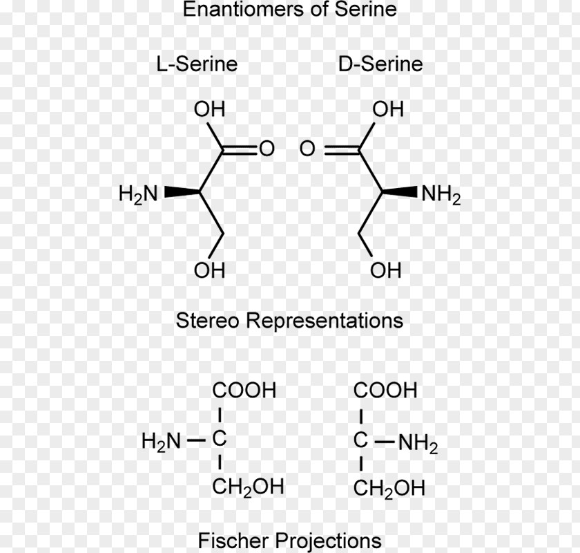 Upscale Recipes Enantiomer Serine Stereochemistry Amino Acid PNG