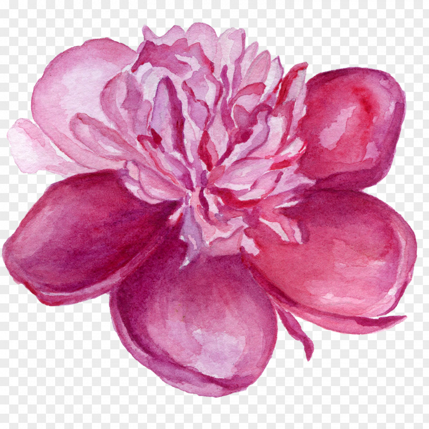 Watercolor Flower Violet Painting Lilac Clip Art PNG